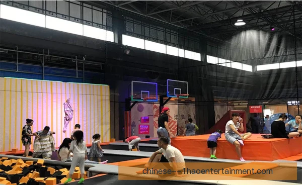 蹦床神经募集训练核心,弹跳爆发力从脑到肌肉 蹦床神经募集训练核心,弹跳爆发力从脑到肌肉